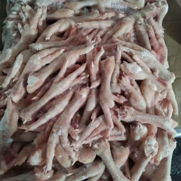 板冻鸡爪40-50规格15×1.大厂一级货
