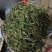 刀切绿茶有1万斤17元/斤