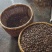 50年老树山茶油