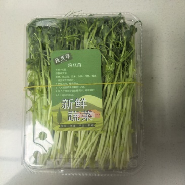 豌豆苗