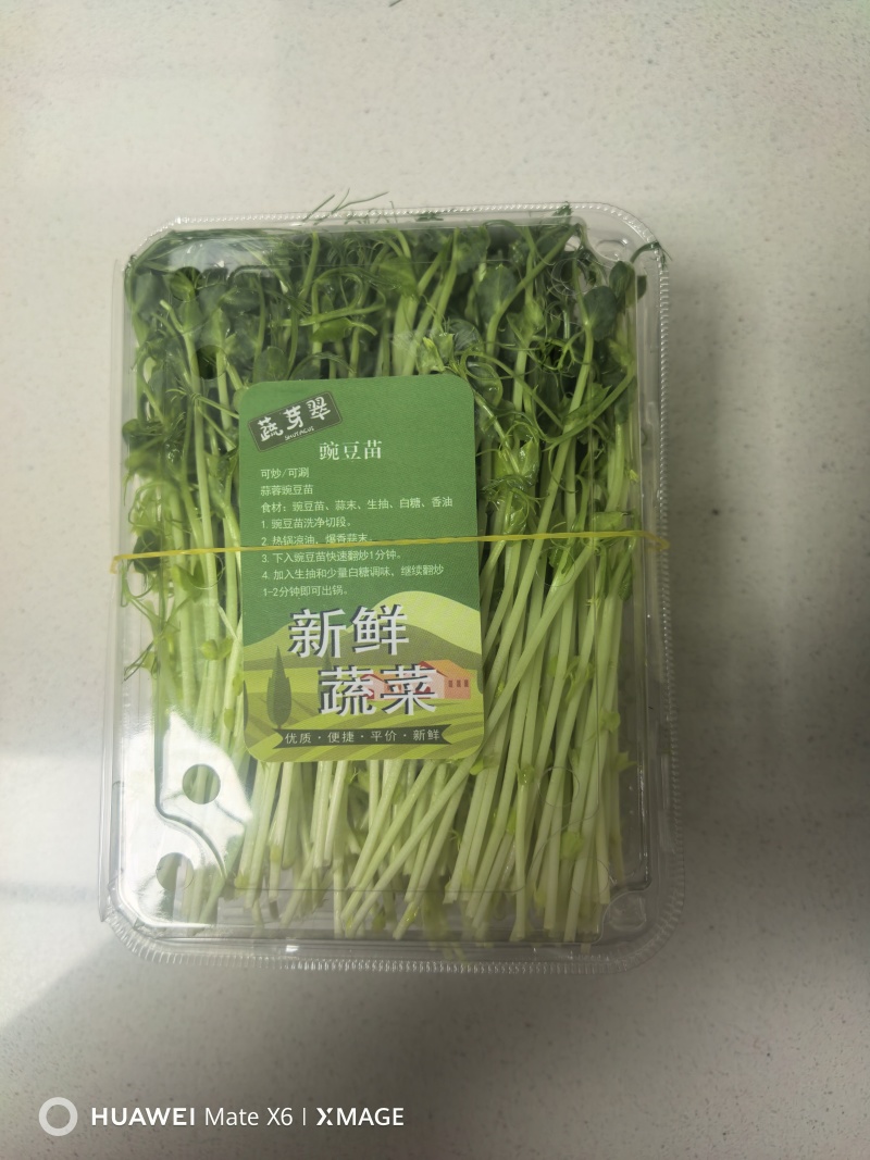 豌豆苗