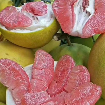 红心柚子
