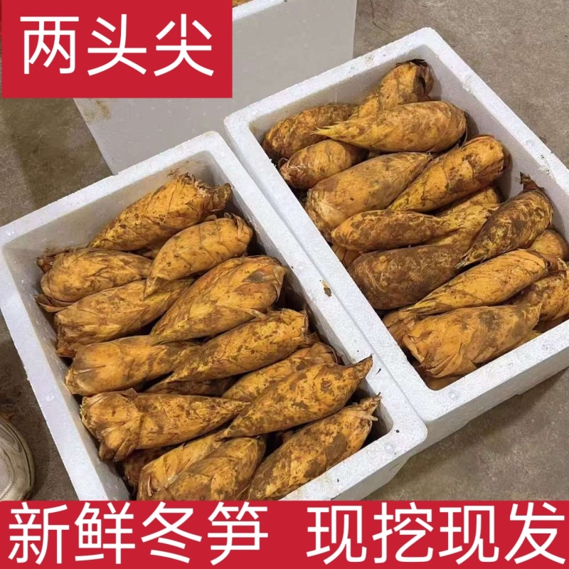 冬笋