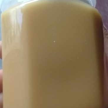 土蜂蜜