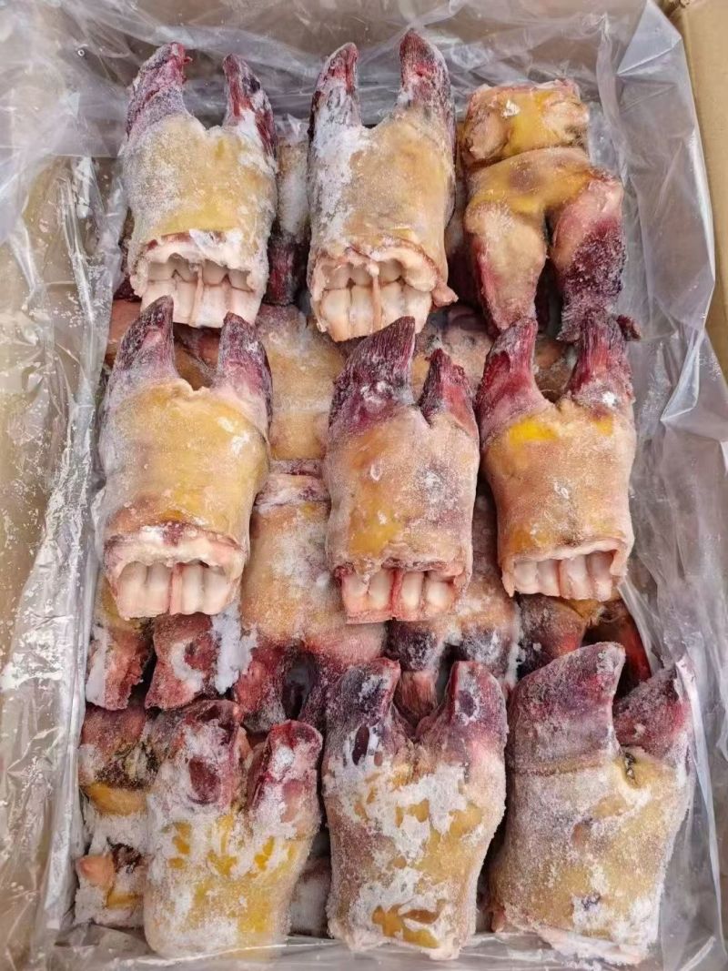 精品牛蹄掌