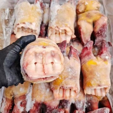 精品牛蹄掌