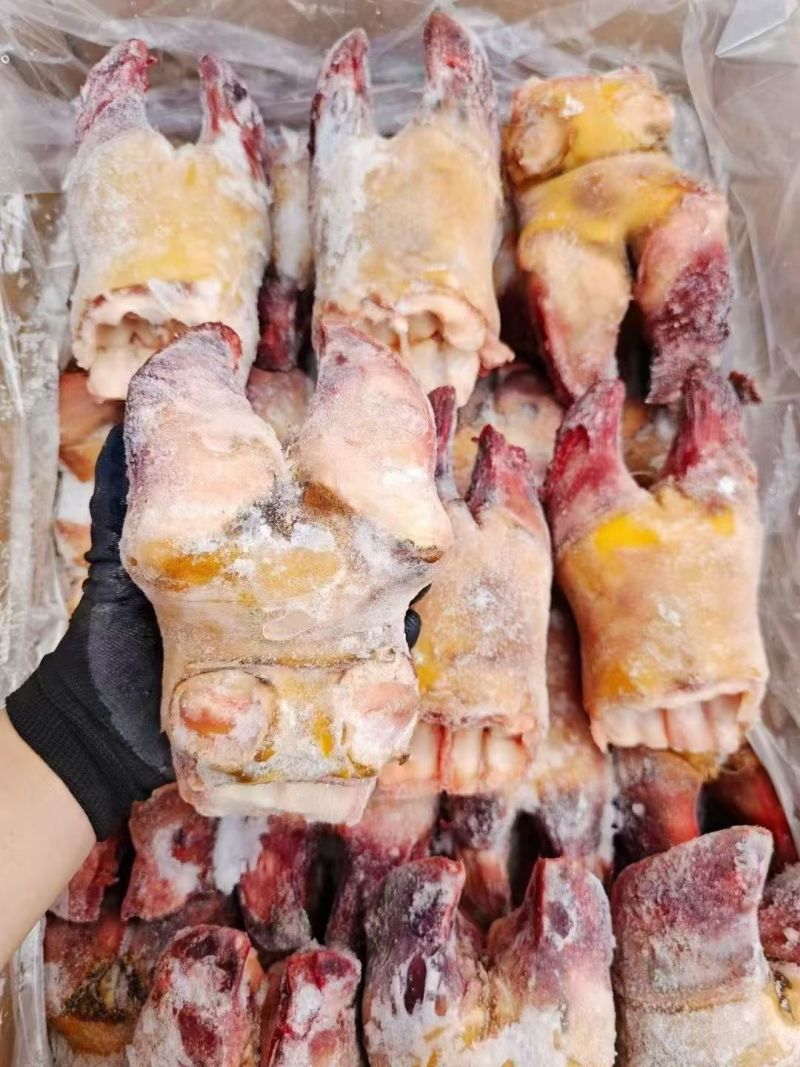 精品牛蹄掌