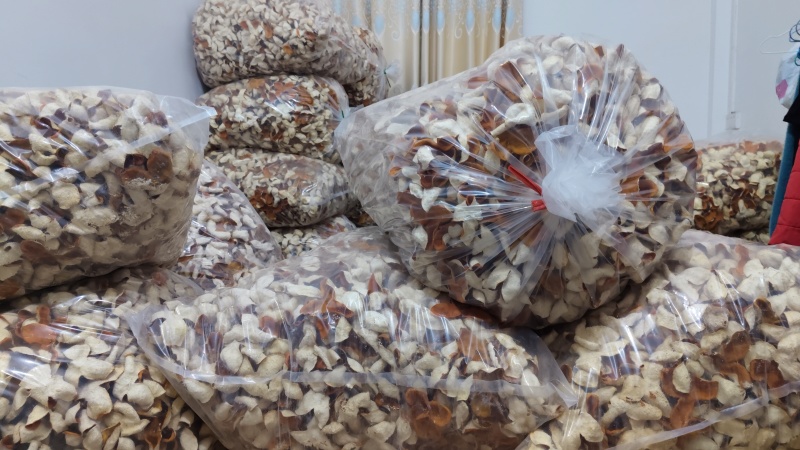 随时有货陈皮厂家直销确保正品品质