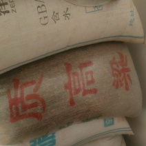 东北糯高粱