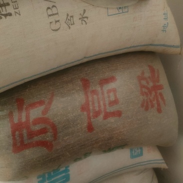 东北糯高粱