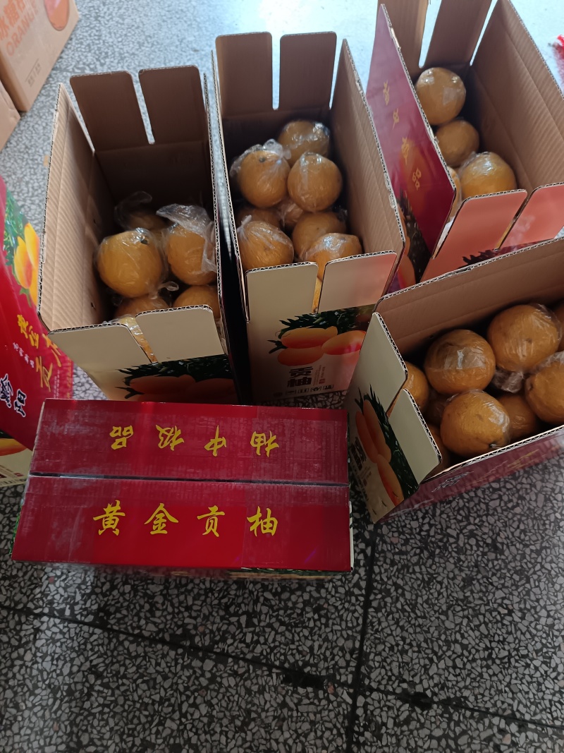 黄金贡柚，规格齐全