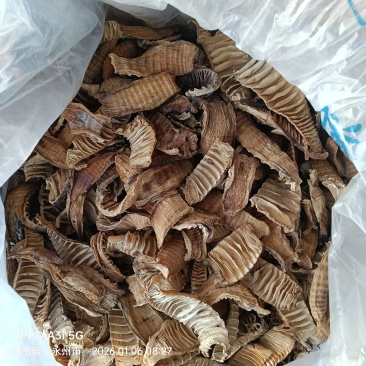 大山楠竹笋干