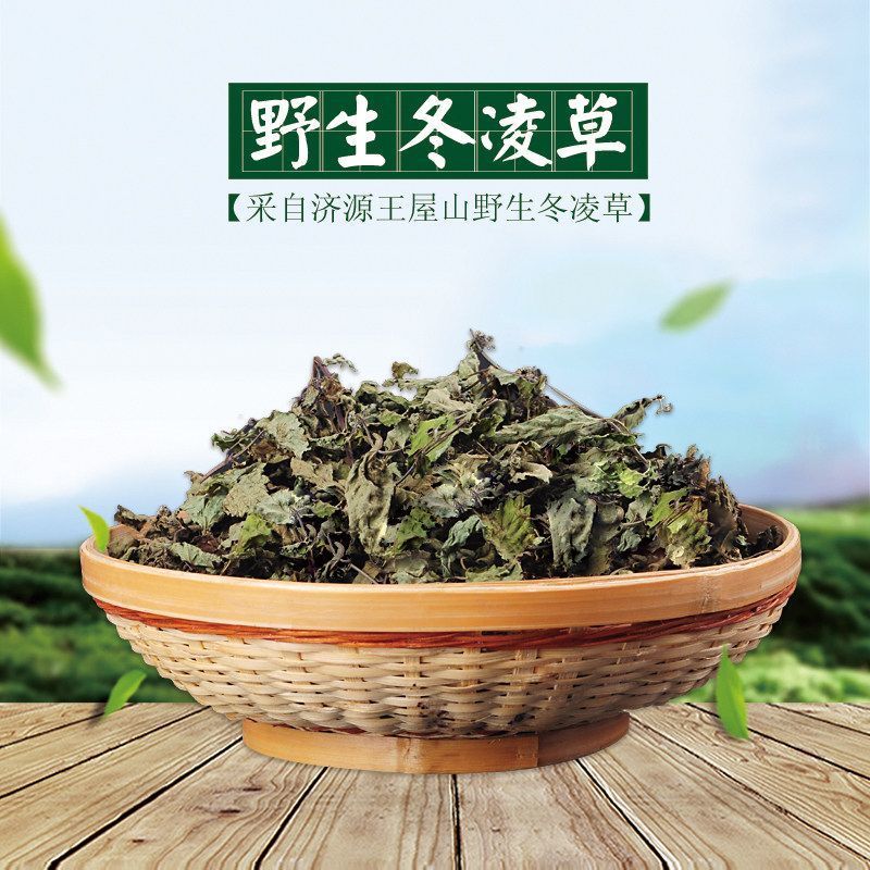 正品1公斤野生药草冬凌草茶