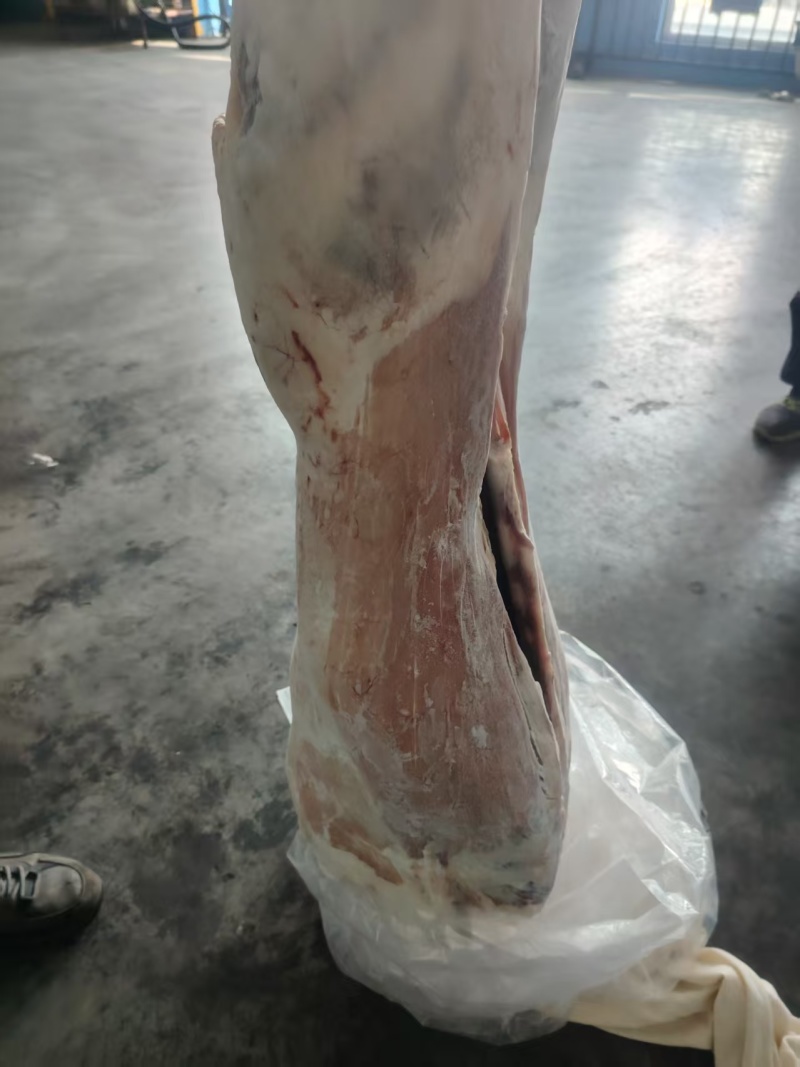 白条羊