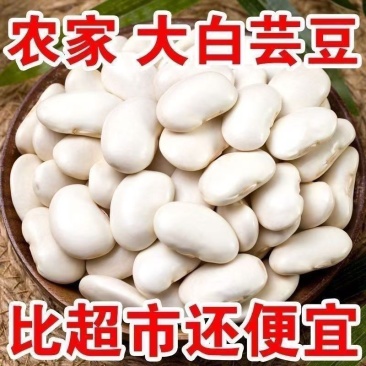 新货白芸豆云南特产农家自种大白豆