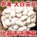 新货白芸豆云南特产农家自种大白豆