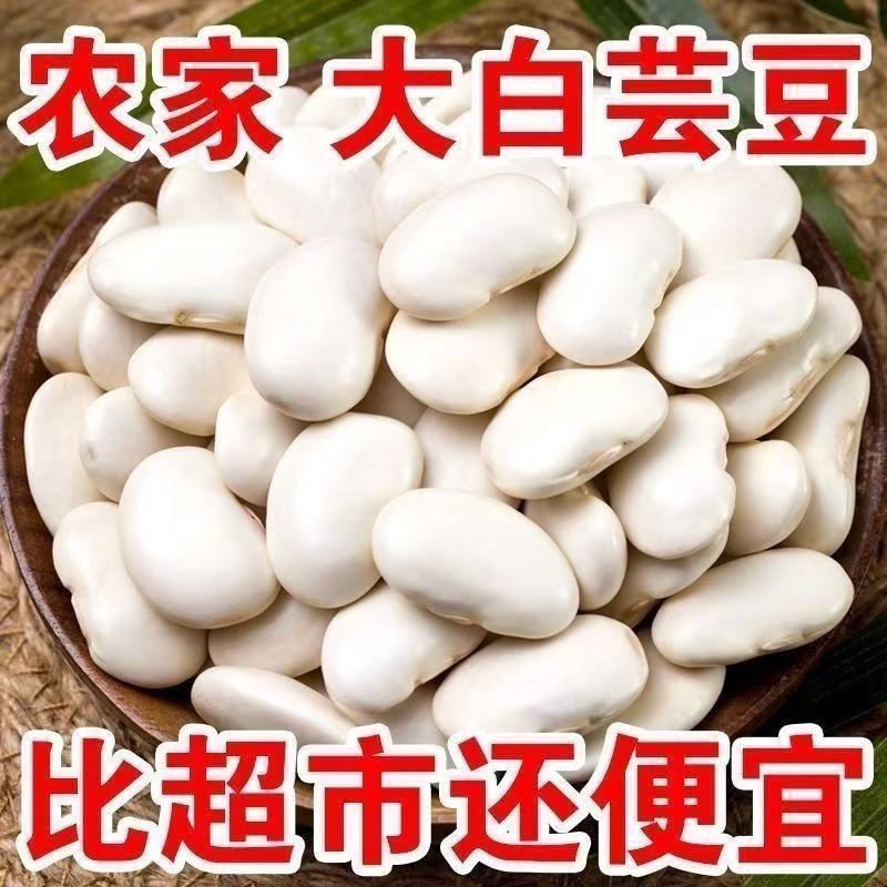 新货白芸豆云南特产农家自种大白豆