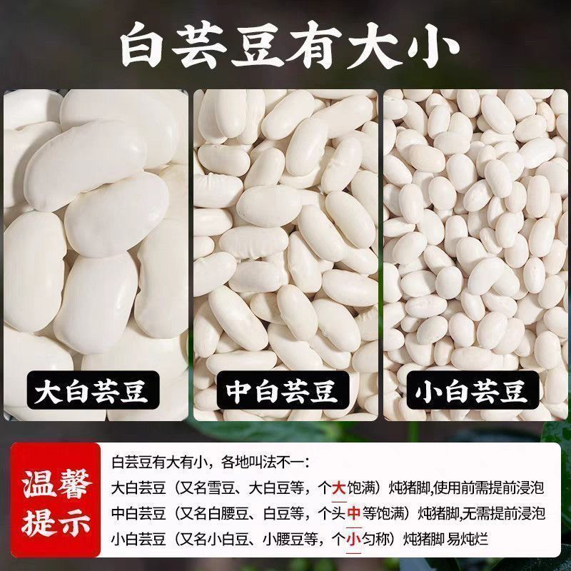 新货白芸豆云南特产农家自种大白豆