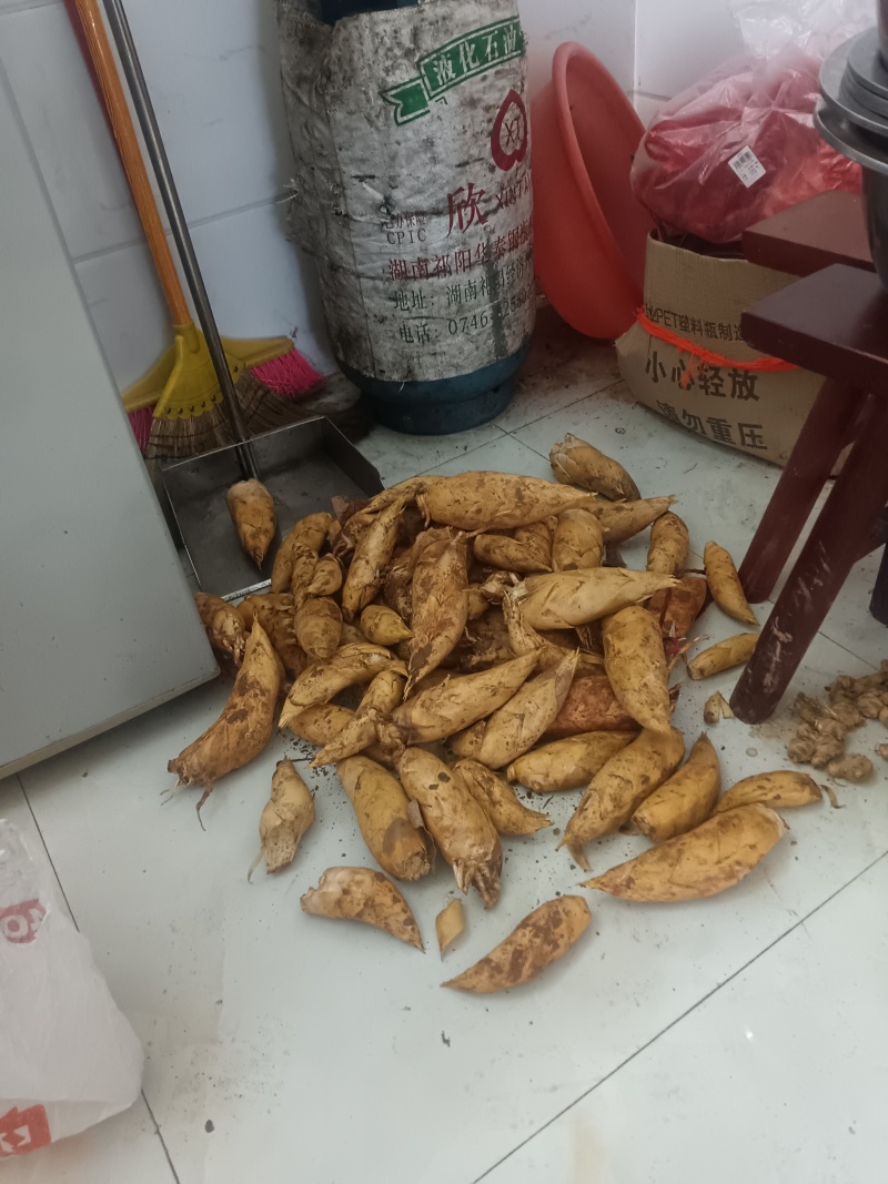 正宗黄泥巴冬笋
