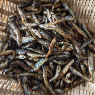 湖南特产嫩子鱼，麦穗鱼，火焙，米糠烟熏，不苦，无沙无泥