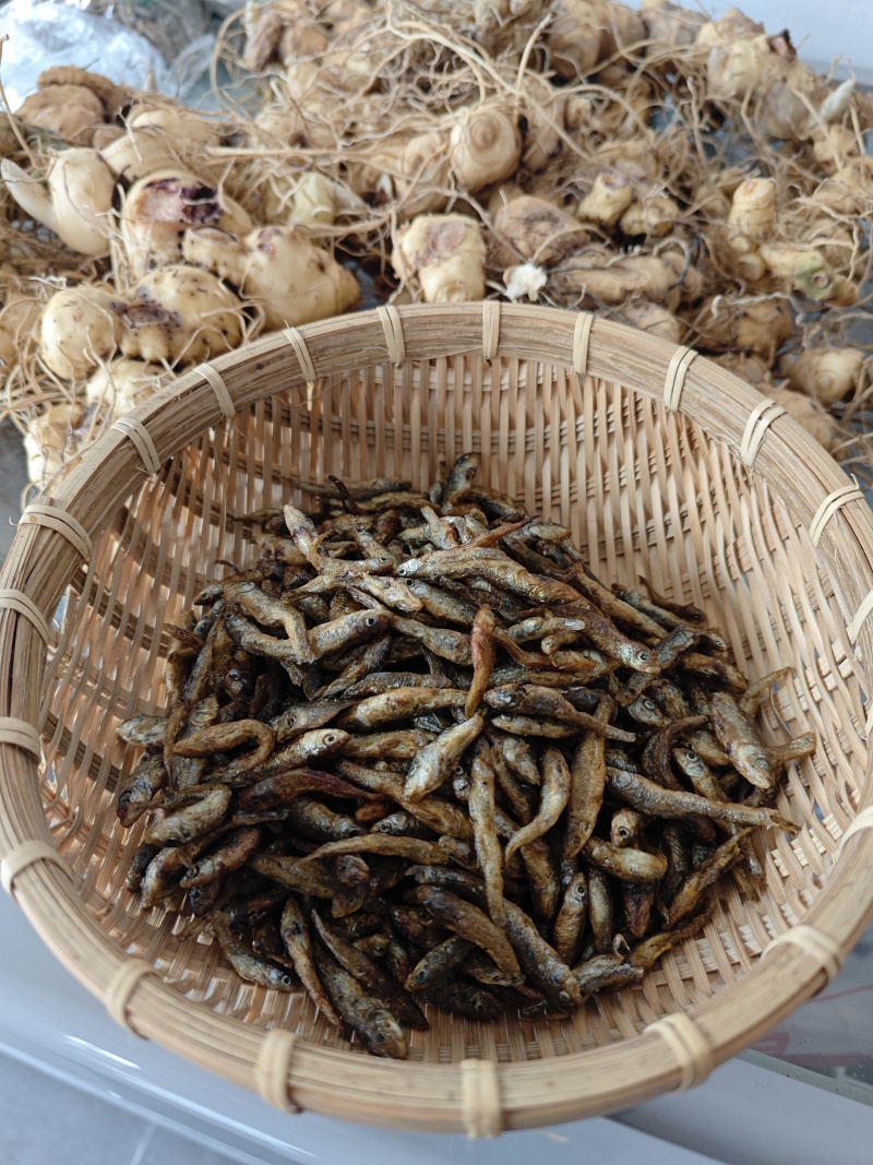 湖南特产嫩子鱼，麦穗鱼，火焙，米糠烟熏，不苦，无沙无泥