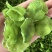 干莴笋片（厂家直销）量大价优