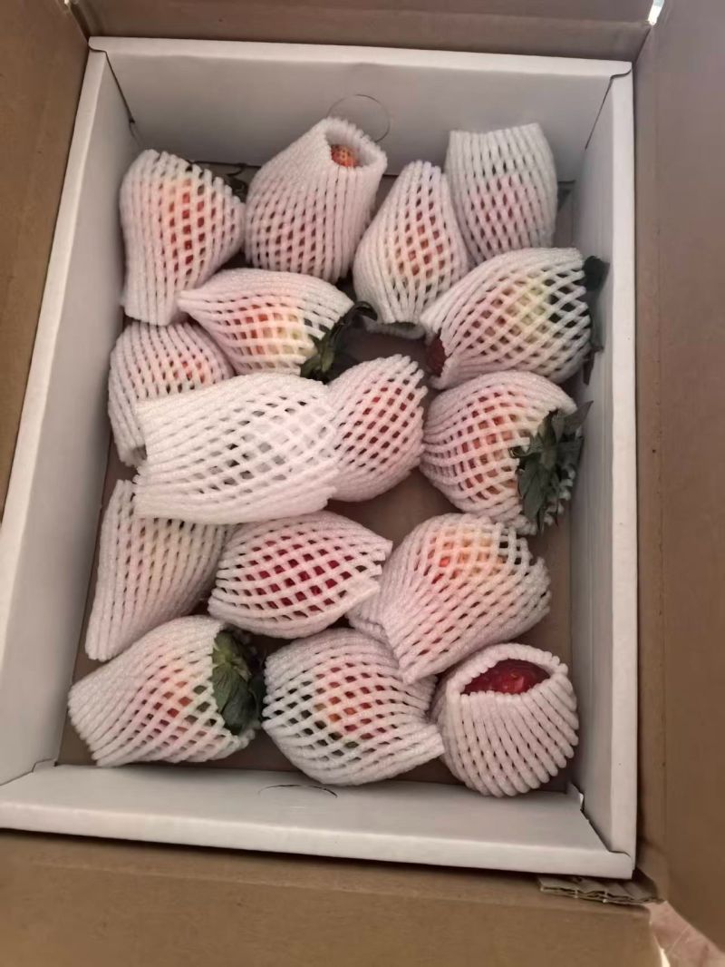 大果30克以上大中果20到30克