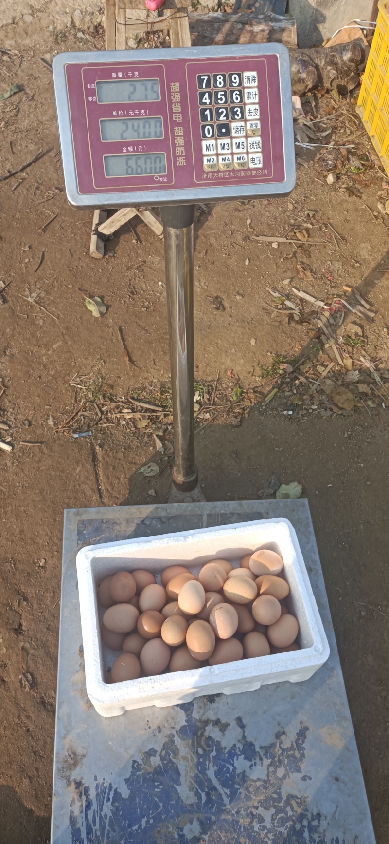 烟台苹果红富士
