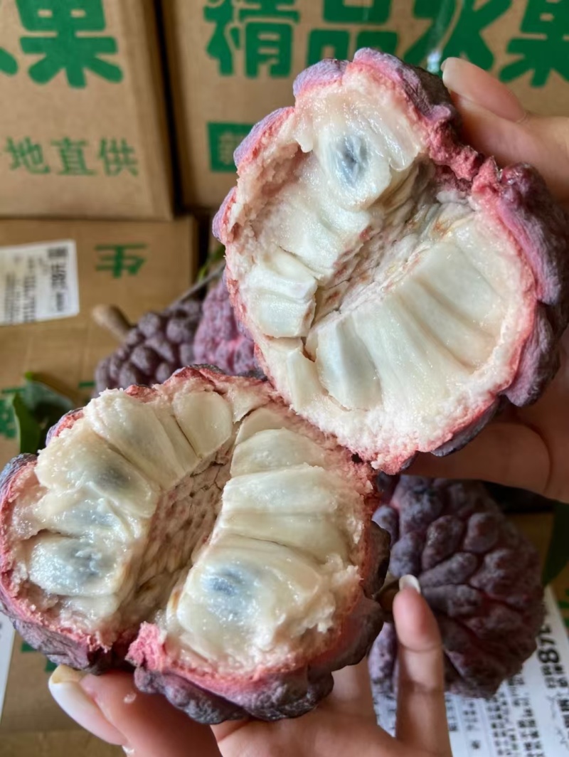 玫瑰释迦果一手源头