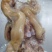火烧毛牛