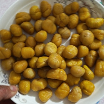 清库存出售老树特选，大标，小标，无虫坏，品质好价格美丽