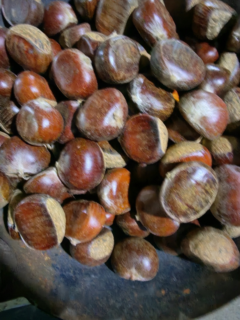 清库存出售老树特选，大标，小标，无虫坏，品质好价格美丽