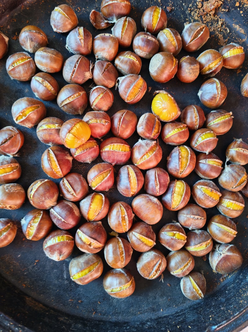 清库存出售老树特选，大标，小标，无虫坏，品质好价格美丽