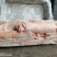腿皮新货临沂提货