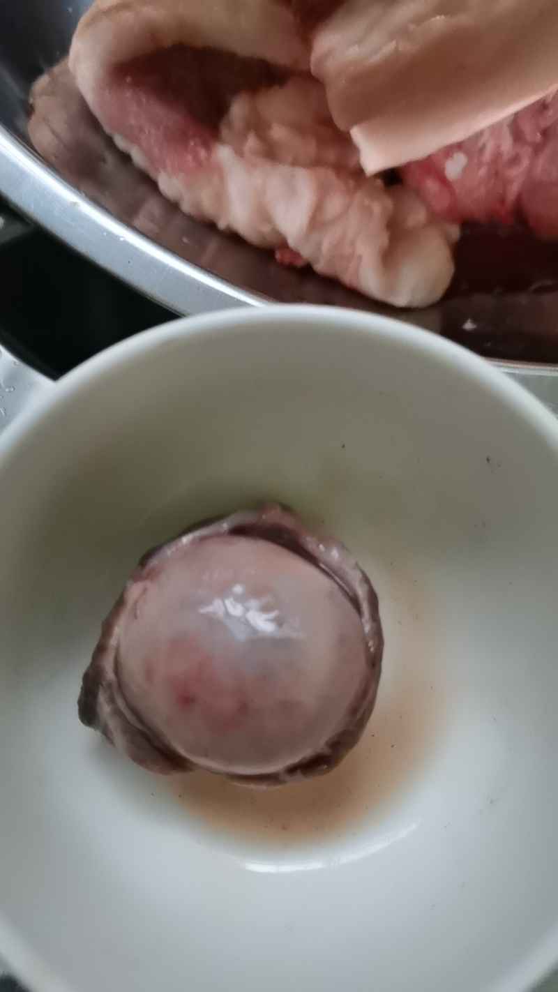 猪砂