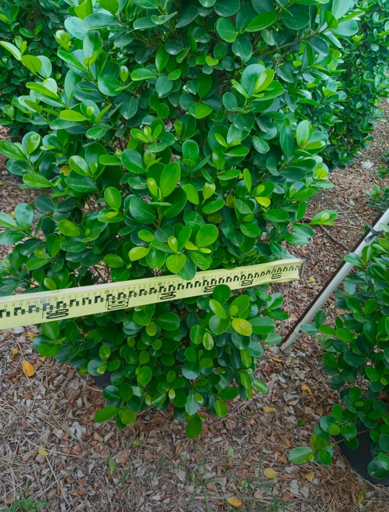 1.5m到3m的大量现货