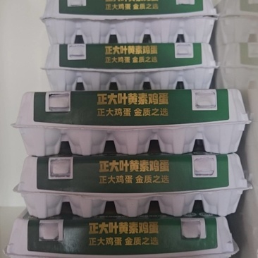 鲜鸡蛋