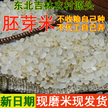 东北吉林胚芽米