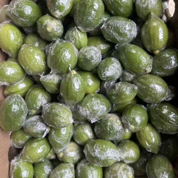 长期出售广东香水柠檬
