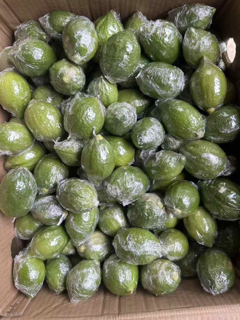 长期出售广东香水柠檬