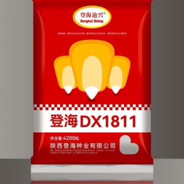 高产玉米种子