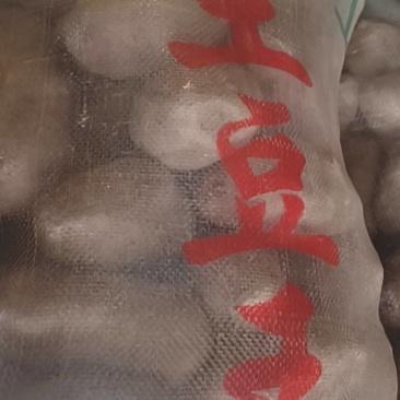 青薯9号，产地，青海省海东市乐都区