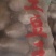 青薯9号，产地，青海省海东市乐都区
