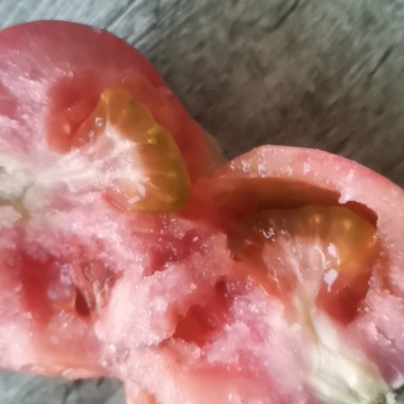 普罗旺斯西红柿