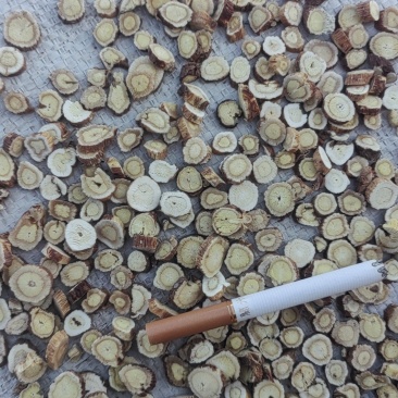 陇南高品质红芪