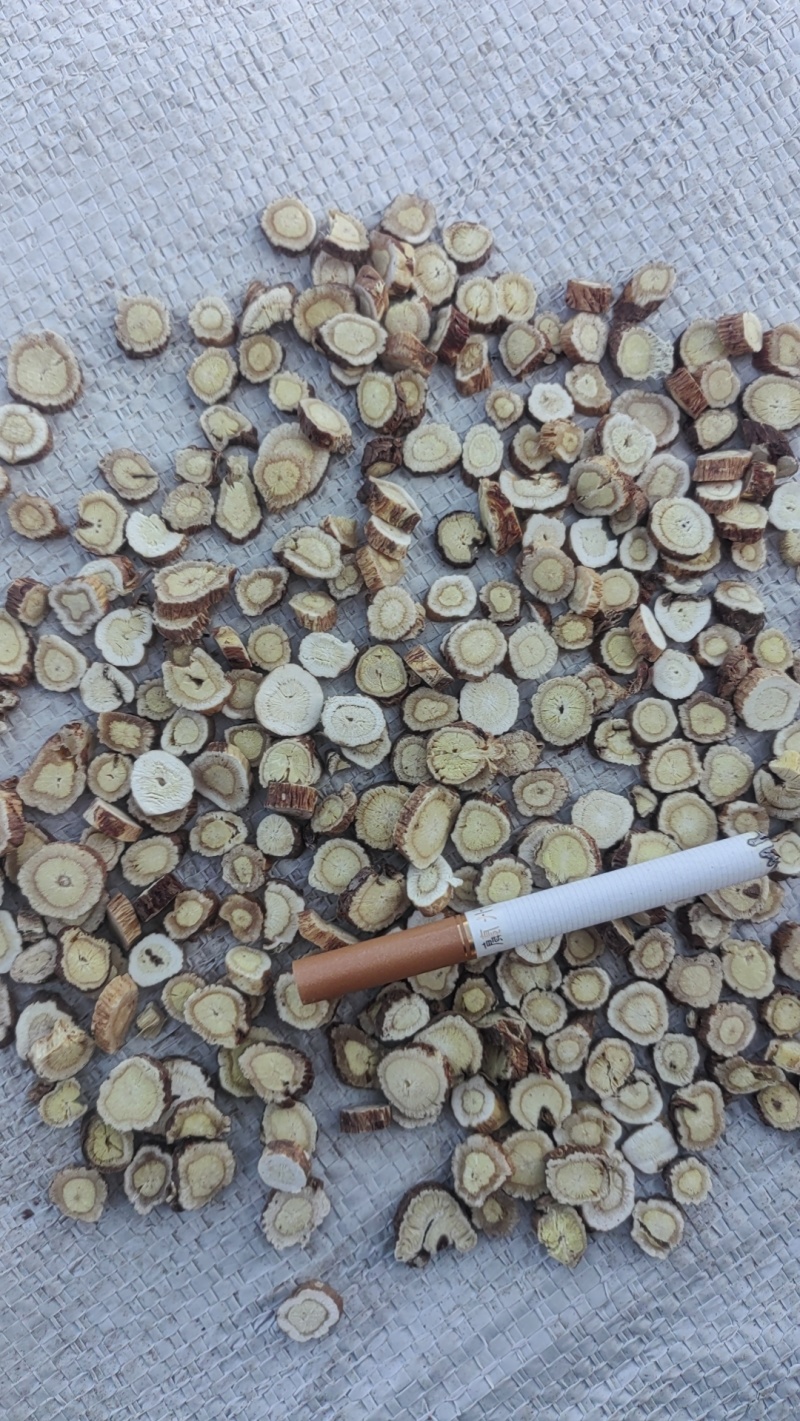 陇南高品质红芪