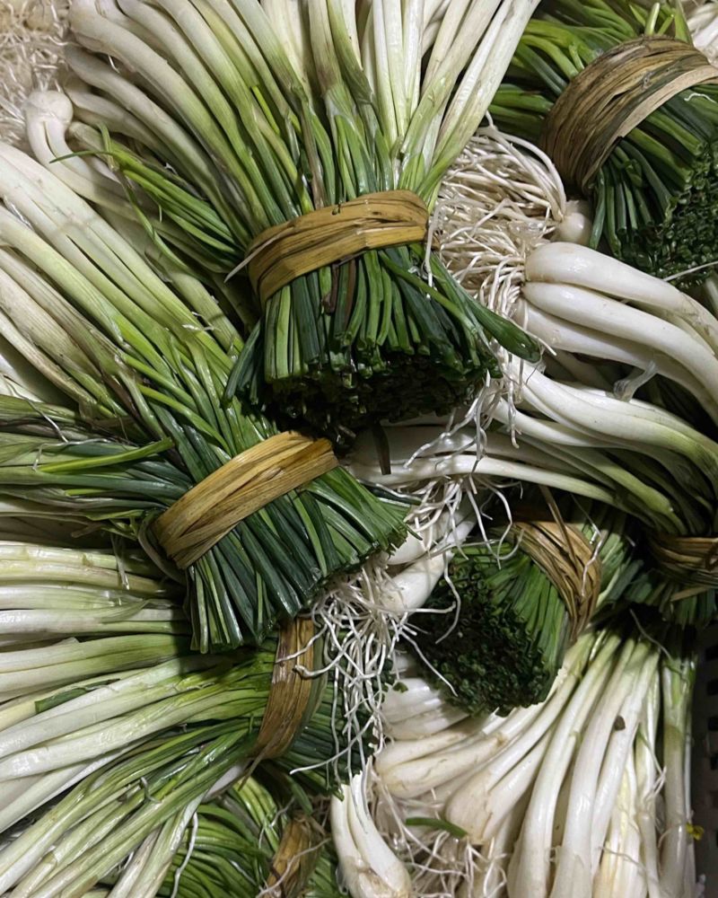 藠头