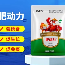 酵母铁