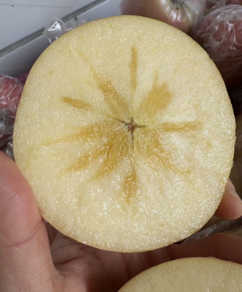 红富士苹果