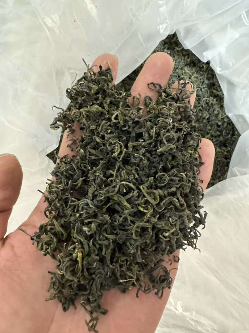 日照绿茶江北**茶，一品日照绿只做批发欢迎私聊